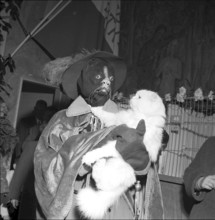 International cat exhibition Lausanne 1957