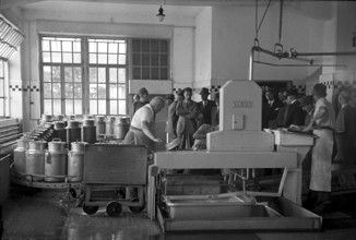 Workers in milk exploitation factory, 1944