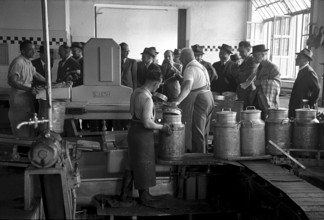 Workers in milk exploitation factory, 1944