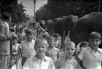 Children walking along with the parade of the elefants of Circus Knie through Zurich, 1944