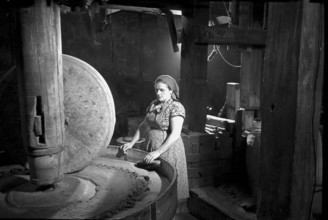 The 200 years old Oil mill Bottstein after renovation 1967