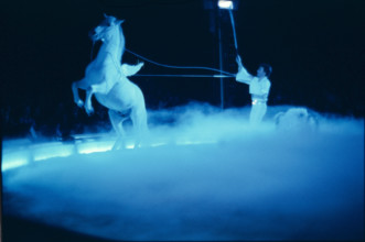 Circus Knie jubilee programme: celebration of 175 years of the dynasty and 60 years as official