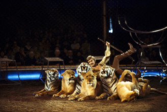 Circus Knie jubilee programme: celebration of 175 years of the dynasty and 60 years as official