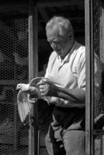 Schaggi Streuli with white dove, 1969