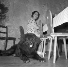 Mrs Mattenberger-Hummel, tenant of Habsburg Castle, 1952