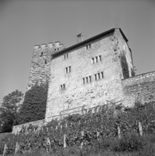 Habsburg Castle, 1952