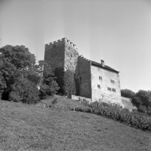 Habsburg Castle, 1952