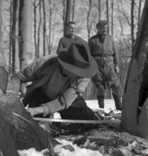 Course for lumberjack, Strickhgof Zurich 1941