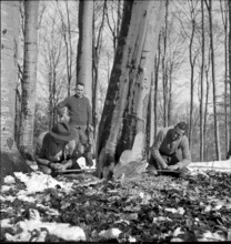 Course for lumberjack, Strickhgof Zurich 1941
