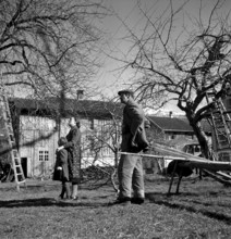 Course for tree warden in Sevelen 1940