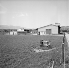 Doggen 7' at Linthebene vor Benken 1957