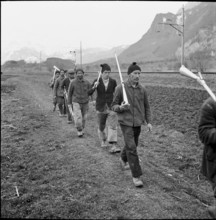 Plague of mice in Ruti, farmers on the way to distribute Surux rodenticide, around 1948