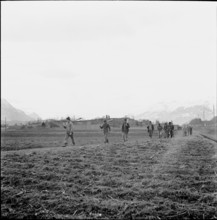 Plague of mice in Ruti, farmers on the way to distribute Surux rodenticide, around 1948