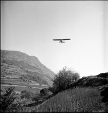 Insecticide DDT (Gesarol) spraying to combat cockchafers in Valais, 1950