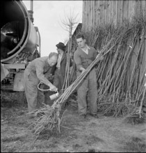 New Pest control method to combat the San-Jose-coccid 1949
