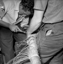 Public Switched Telephone Network retrofit (six-digit phone numers), Basle 1953