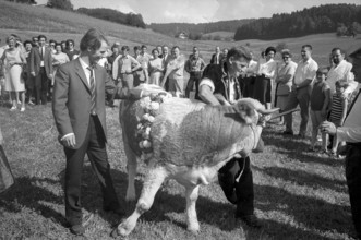 Floralp sales campaign, competition winner recieving a cattle, Burgdorf 1970