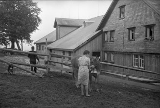 Horse breeding cooperative Lilienthal in village of Huttwilen, 1944