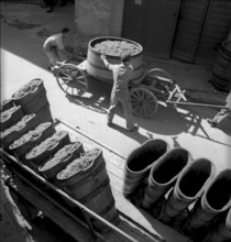 Grape harvest in Muraz sur Sierre: wine tubs and carriage in a village, around 1940
