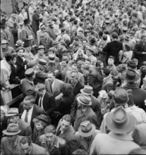 Swiss Cup 1949/50, Cup Final 1950: Lausanne-Sports - FC Cantonal Neuchatel