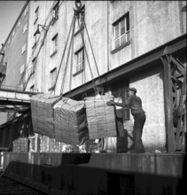 Dockers loading goods, Rhine port, Basle 1948