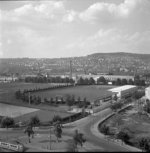 Sports field, pitch Letzigrund. Zurich 1954