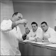 Course for making bread at technical college for baker, Lucerne 1958