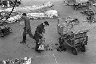Swissair plane crash in Wurenlingen 1970: Debris