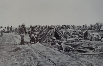 Bivouac near Mukden Shovels made of sorghum Photo by Staff Captain Milovanov