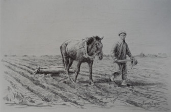 Cultivation of fields Vitaly Tikhov (1876-1939)