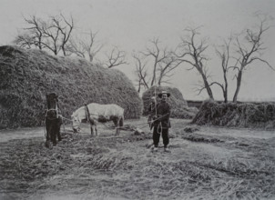 Harvesting grain Threshing Photo by Martynov