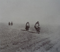 Near Mukden Japanese wounded on the way to the dressing station Photo by Gusev