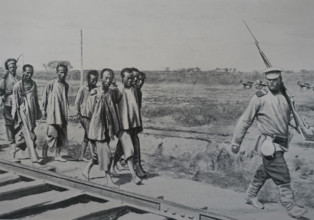 Honghuzi captured near Liaoyang Photo by Gusev