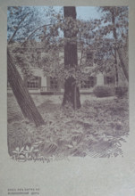 Leo Tolstoy's estate in Krasnaya Polyana Drawing by Elena Petrovna Samokish-Sudkovskaya (1862-1924)