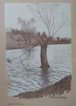 Pond in Yasnaya Polyana Drawing by Elena Petrovna Samokish-Sudkovskaya (1862-1924)
