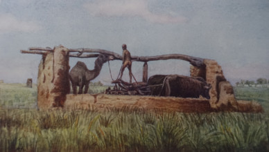 Theban Plain Illustration from the book ""In the Land of Amon-Ra Essays on Egypt"" Author AN Lvov