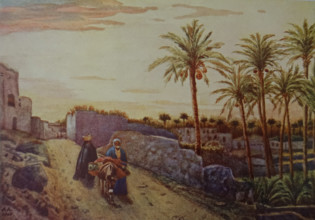 Abydos village Illustration from the book ""In the Land of Amon-Ra Essays on Egypt"" Author AN Lvov