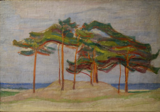 Pine Trees in the Dunes 1910 Mikhail Vasilyevich Matyushin (1861-1934)