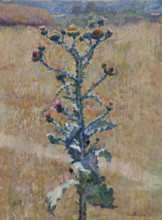 Steppe Burdock 1933 Mashkov Ilya Ivanovich (1881-1944)