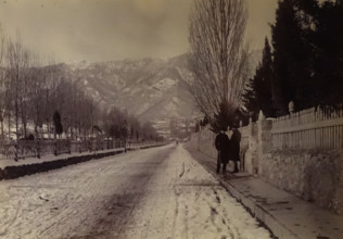 Yalta On Pushkin Boulevard Late 19th century Photo by Leonid Sredin