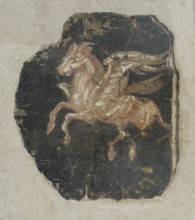 Flying Pegasus