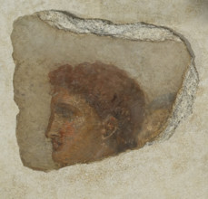 Head of a young man
