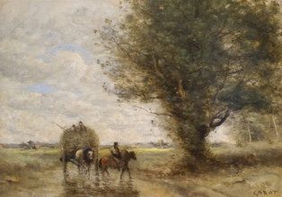 Hay stack