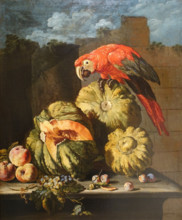 Still Life with pumpkins and a red parrot
