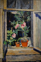 Flowers on the window