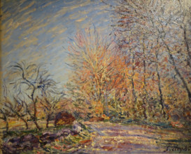 The Edge of the forest of Fontainebleau
