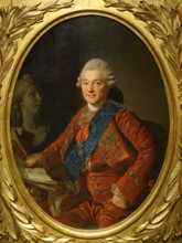 Portrait of count A.S.Stroganov (1733-1811)   by Roslin Alexander (1718-1793)