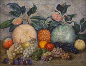 Still Life with a Pineapple