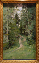 Aspen trees