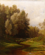 Forest river
